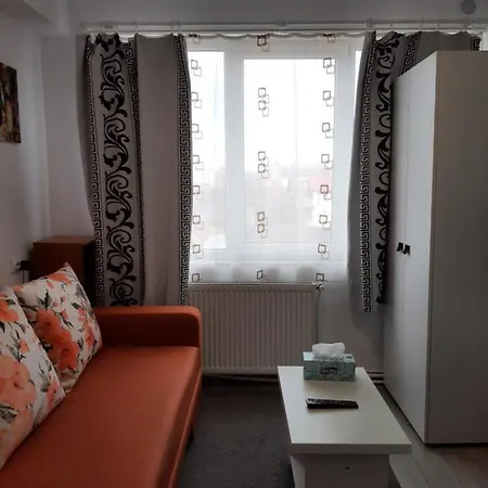 Apartment Arti Studio *